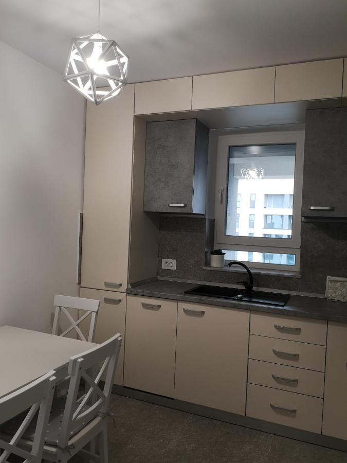 Grey House Apartment Brasov